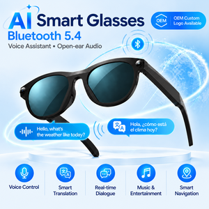 AI Smart Glasses BLE 5.4 Voice Assistant Translation Audio Sunglasses 2MP Camera