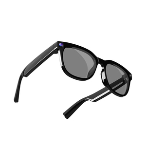 Chat GPT Glasses 8Megapixels Camera Video Voice Call AI Translation